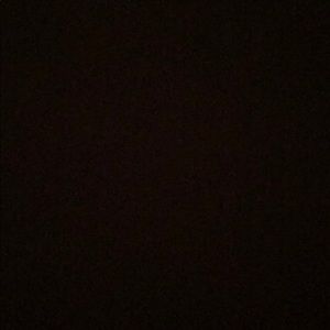 Meet your Posher, Rylee